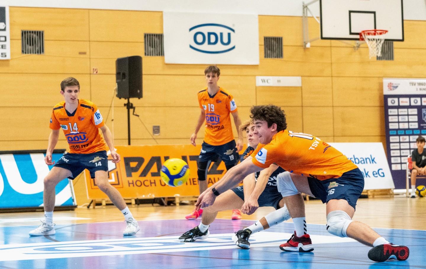 MVP Kai Schlösser (rechts) und Noah Meyer in der Annahme gegen die harten Rotteburger Aufschläge. Fotograf: Matthias Hergenhan